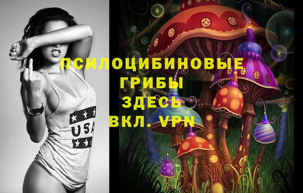 spice Заводоуковск