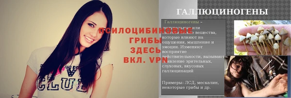 СК Заволжск